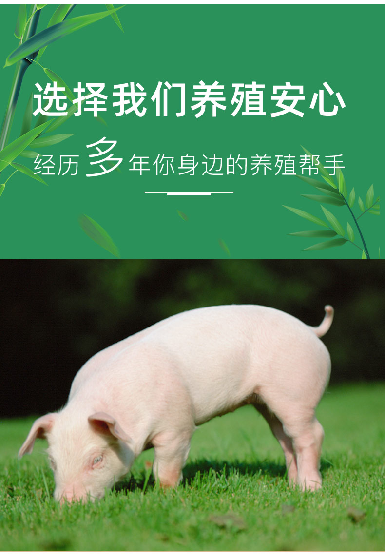 詳情頁(yè)4_05
